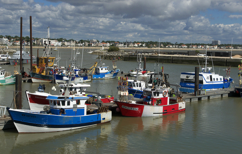 Royan, port de pêche