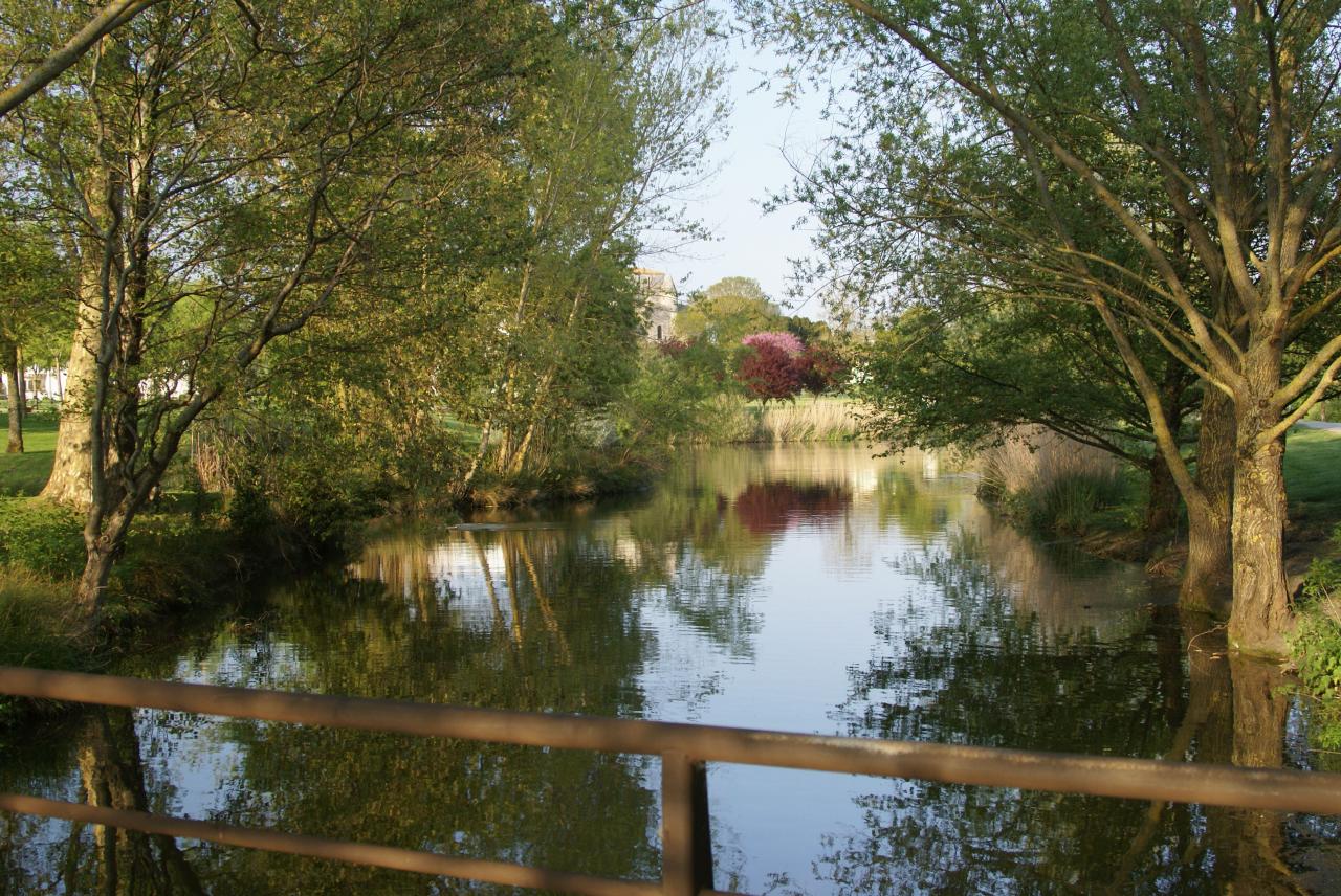 Environnement Villa l'Olivier